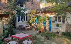 Le Clos Du Moulin Dijon,Sa Piscine, Son Jardin, Au Calme, La Campagne A La Ville
